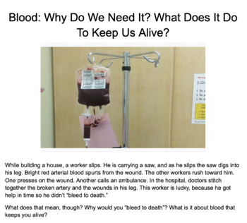 Preview of Blood: Why Do We Need It? What Does It Do To Keep Us Alive? (Webquest)