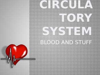 Preview of Blood and Stuff -- The Circulatory System PowerPoint