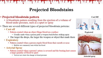 Preview of Bloodstain Pattern Analysis PPT+notes for Forensics/Crim Investigations
