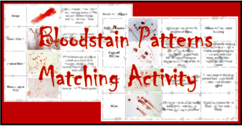 Preview of Bloodstain Patterns Matching Activity