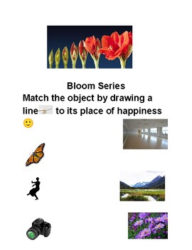 Preview of Bloom Series 1-Its Free!