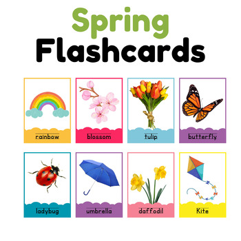 Preview of Blooming Words: Colorful Spring Vocabulary Flashcards, 16 cards - Montessori