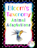 Blooms Taxonomy Animal Adaptations Activities