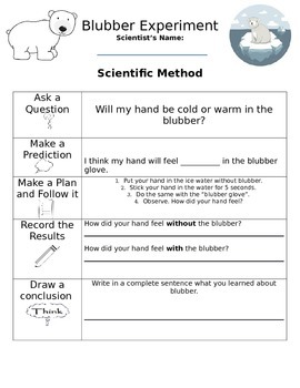 Preview of Blubber Science Worksheet
