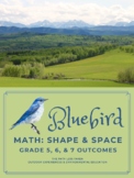 Shape & Space: Blue Bird Math