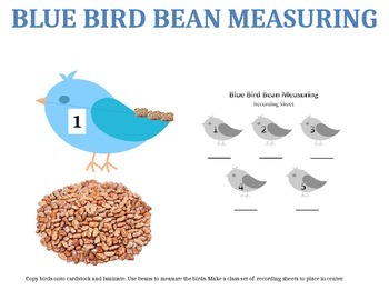 Preview of Blue Bird Measurement