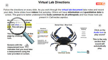 Preview of Blue Crab Exploration (Virtual Dissection)