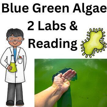 Preview of Microbiology Blue Green Algae (Cyanobacteria ) STEM lab High School Science