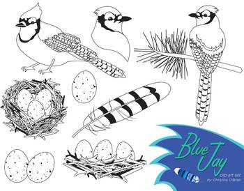 Blue Jay Bird Clip Art Set