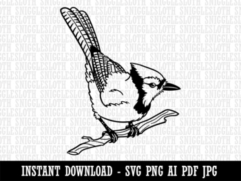 Blue Jay Bird SVG  Layered Blue Jay Cutting File – Craft with Sarah