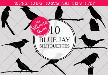 Blue Jay Bird SVG - Winter Bird svg Wildlife Stencils PNG