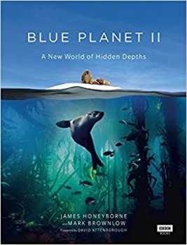 Preview of Blue Planet II: One Ocean Worksheet, Word Search, Word Jumble Blue Planet 2