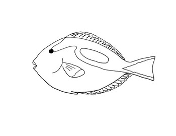 Big Tang Fish Coloring Pages - Tang Fish Coloring Pages - Páginas