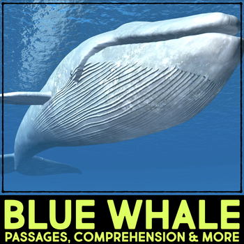 Preview of Blue Whale Animal Research Nonfiction Reading Passage & Comprehension Activities