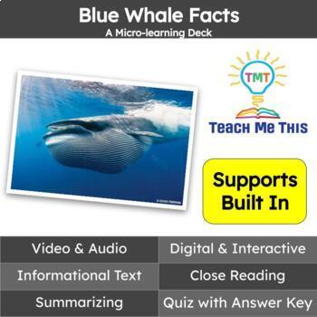 Preview of Blue Whales Informational Text Reading Passage and Activities