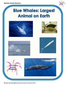 Blue Whales:Largest Animal on Earth: Comprehension and Essay Response: GR 3