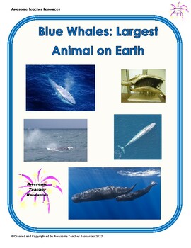 Preview of Blue Whales:Largest Animal on Earth: Comprehension and Essay Response: GR 5