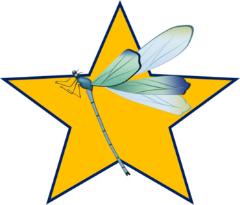 Preview of Blue and Green Dragonfly Star (png)