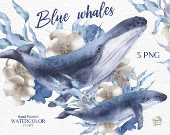 Preview of Blue whale with seagrass and flowers compositions