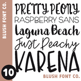 Blush Font Co. Font Bundle 10 - Brush Script Fonts