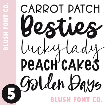 Preview of Blush Font Co. Font Bundle 5 - Brush and Chunky Fonts