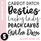 Blush Font Co. Font Bundle 5 - Brush and Chunky Fonts