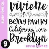 Blush Font Co. Font Bundle 9 - Brush Script Fonts