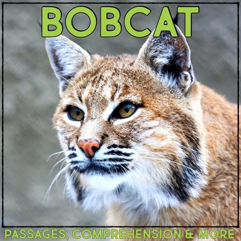 Preview of Bobcat Animal Research Nonfiction Reading Passage & Comprehension Activities