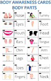 Body Parts Matching Flash Cards for Identification and Awareness