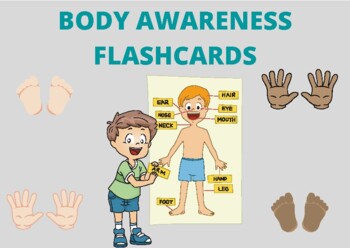 Preview of Body Awareness Flashcards (Early Intervention/School based therapy)