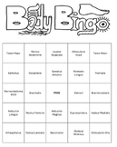 Body Bingo BUNDLE - Skeletal, Muscular, Digestive, & Cardi