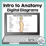 Body Cavities & Directional Terms Diagrams for Distance Learning
