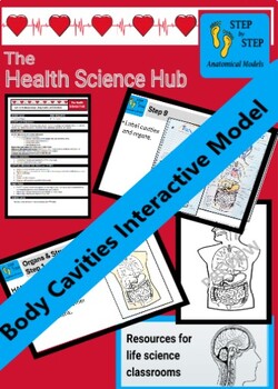 Preview of Body Cavities and Structures Interactive Model