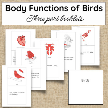 Preview of Body Functions of Birds