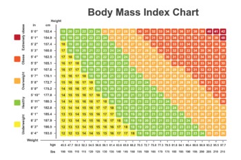 Preview of Body Mass Index (BMI) Chart. BMI Calculator To Checking Your Body Mass Index.