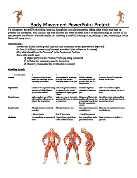 Preview of Body Movement Project - Mastering Muscle Locations and Movements