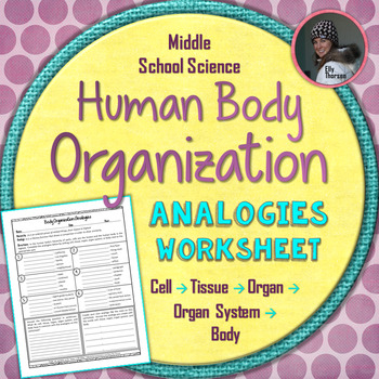 Preview of Levels of Organization in the Human Body Analogies Worksheet