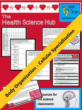 Preview of Body Organization - Cellular Specialization Gallery Walk and Argumentative Essay