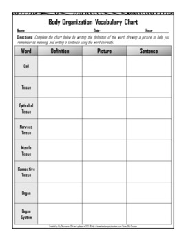 Tissue Chart Worksheet Answers