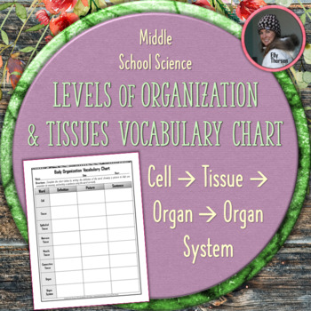 Preview of Levels of Organization Vocabulary Chart: Cells, Tissues, Organs, and Systems