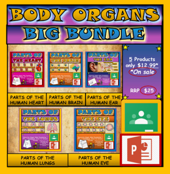 Preview of Body Organs Bundle: 5 Interactive Google Slides Presentations + Worksheets