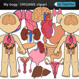 Body Organs Clip Art/ Science Human body Clipart/ Commercial use