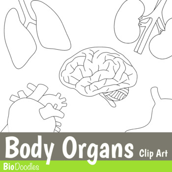 Body Organs Clip Art Human Biology Anatomy Physiology Clipart by Bio ...