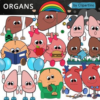 Preview of Cute Body Organs Clip art /Science Clipart commercial use