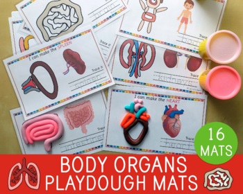 Preview of Body Organs Playdough Mats, Fine Motor Skills, Human Anatomy, Task Cards