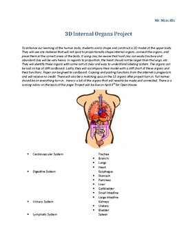 Preview of Body Organs Project