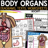 Body Organs | the Human Body | Body Parts
