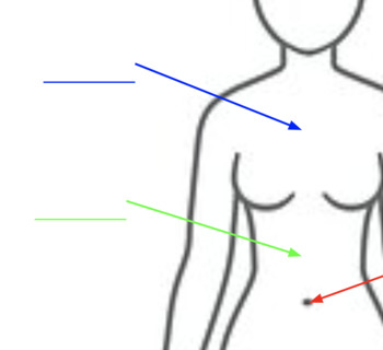 Body Part Concept & Baseline (hips-shoulders) by KissFist Language