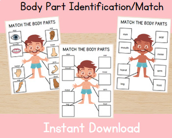 Preview of Body Part Identifcation/Matching