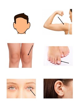 Preview of Body Part Identification